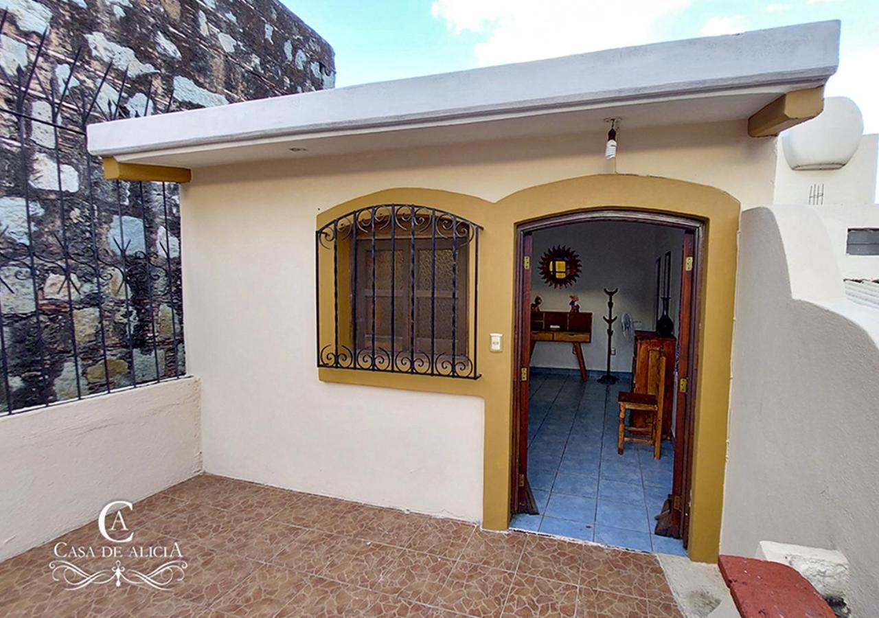 Casa De Alicia Habitacion Monte Alban Apartment Oaxaca Bagian luar foto